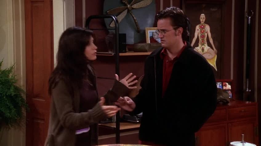 老友记/六人行/Friends 第七季 第八集 S07E08 The One Where Chandler Doesn't Like Dogs / 钱德不喜欢狗