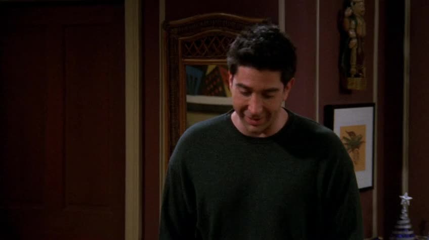 老友记/六人行/Friends 第八季 第十一集 S08E11 The One with Ross's Step Forward / 罗斯迈步向前行