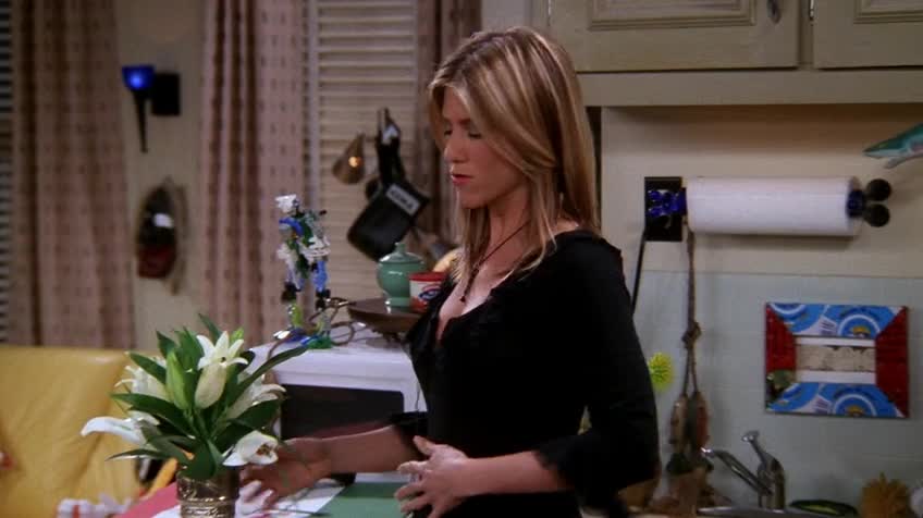 老友记/六人行/Friends 第八季 第十二集 S08E12 The One Where Joey Dates Rachel / 乔伊跟瑞秋约会